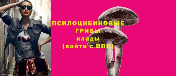 стафф Абинск