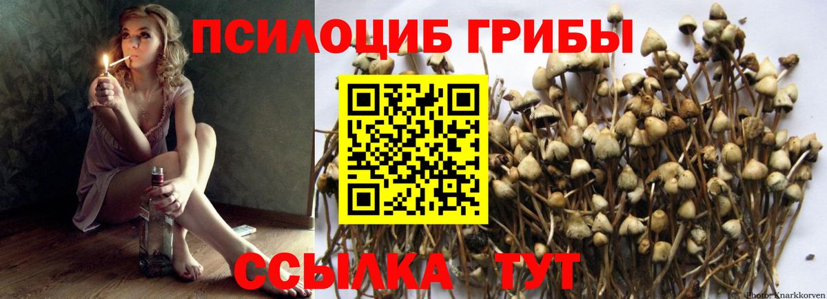 Псилоцибиновые грибы GOLDEN TEACHER  купить закладку  Ипатово  Вход с VPN 